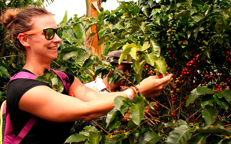 Tour del Café 