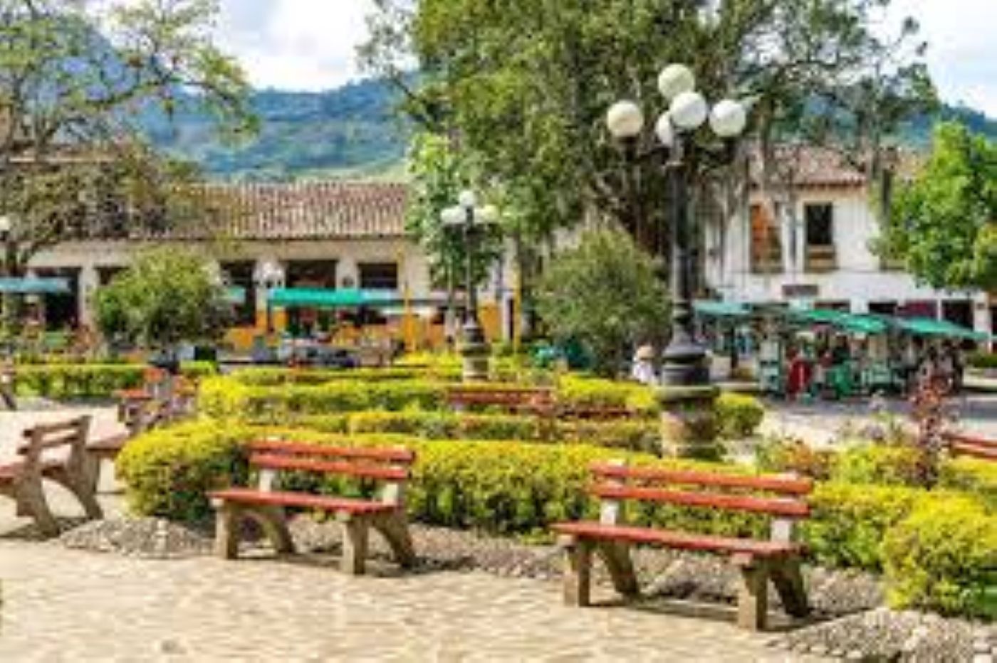 Jardin 1