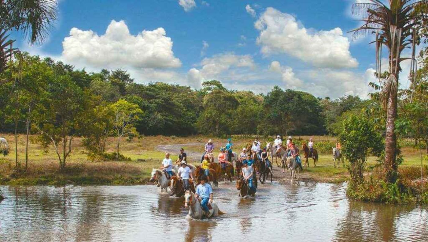 Llanos 2