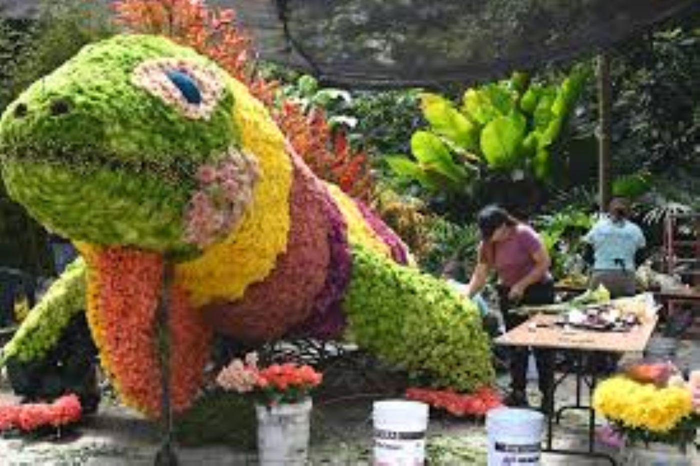 Orqui 3